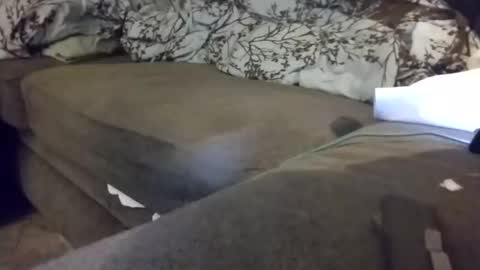 barrett4200 online show from 01.20.25