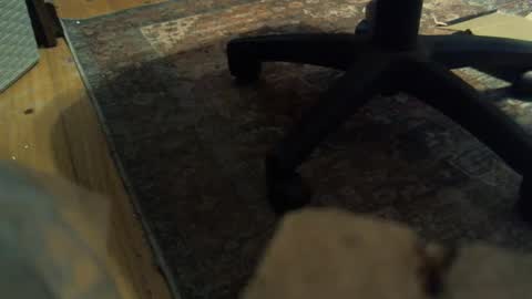 bartender3127 online show from 01.16.25