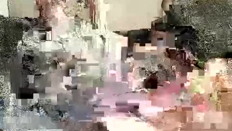 Snapshot of batman3991 chatting on 01.02.25 Batman online show from 01.02.25