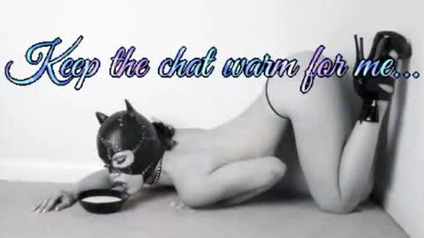 Snapshot of batmansfavoritewife chatting on 07.01.26 Your always sexy Harley online show from 07.01.26