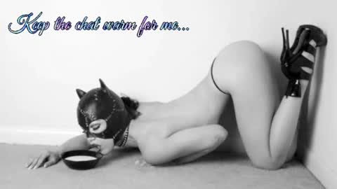Snapshot of batmansfavoritewife chatting on 07.08.26 Your always sexy Harley online show from 07.08.26