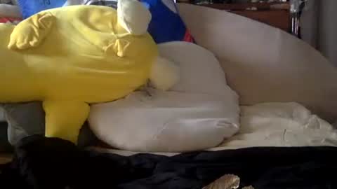 batorbrobos online show from 01.17.26