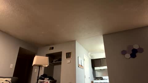 battlewolfxx online show from 04.05.26