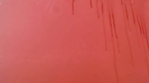 bayonette_black online show from 11.08.25