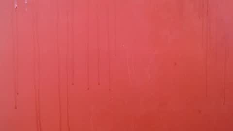 bayonette_black online show from 11.26.25