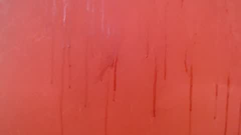 bayonette_black online show from 11.28.25