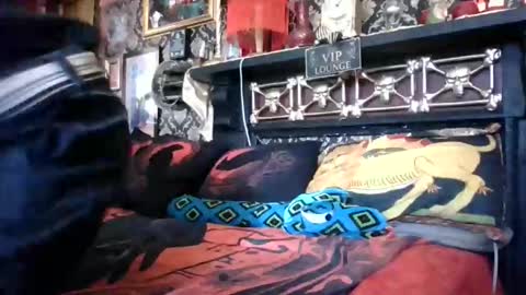 Bazza online show from 02.18.26