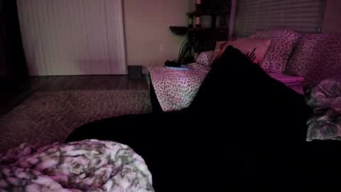 Shasta online show from 04.06.26