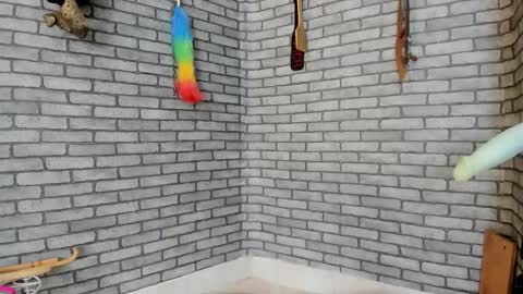 Meduza  online show from 11.29.25