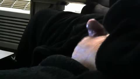 bear4146 online show from 03.29.26