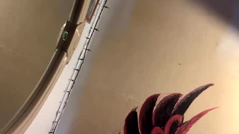 Mikes room online show from 04.02.26