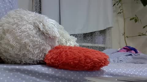 BeatriceTender online show from 03.02.25