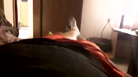 bec44596424 online show from 02.25.25