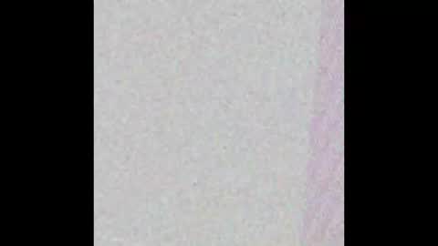 Snapshot of bedstuymonstercock90 chatting on 11.01.25 hungnheavy online show from 11.01.25