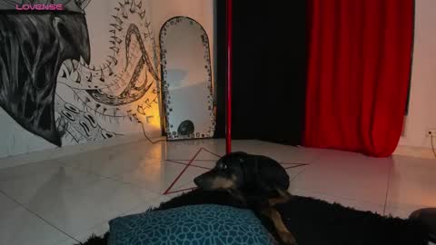 Daniela  ur fav living dead girl  online show from 01.05.25