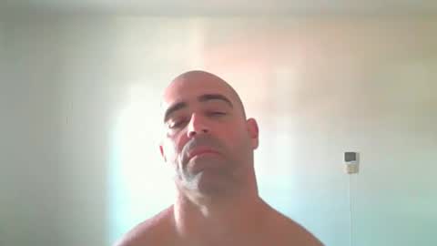 beermanpig online show from 05.09.26