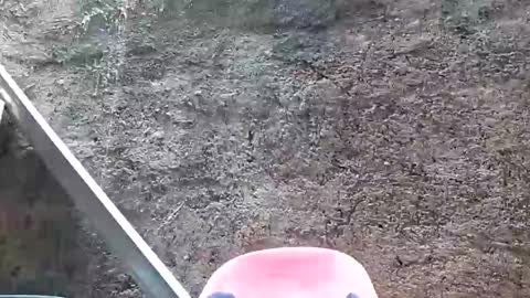 Tezza online show from 02.28.25