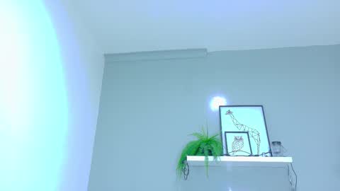 BELA online show from 11.20.25