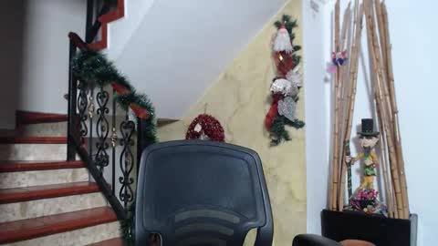 independent model online show from 11.29.25