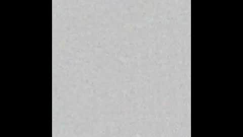 Zia online show from 01.13.25