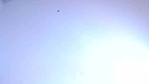 Snapshot of bella_adara1 chatting on 02.08.25 CAMILA online show from 02.08.25