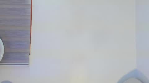 Snapshot of bella_hadid1_ chatting on 04.29.26 Laura online show from 04.29.26