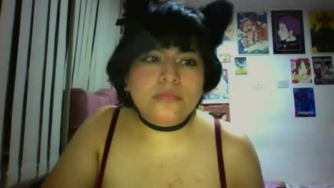 Bella online show from 03.17.26