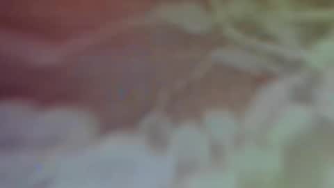 Snapshot of bellaporchxxx chatting on 02.26.25 Bella Porch online show from 02.26.25