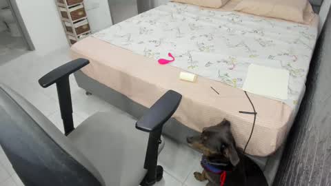 Snapshot of bellaprettty chatting on 02.20.25 Bella  Angelycal online show from 02.20.25