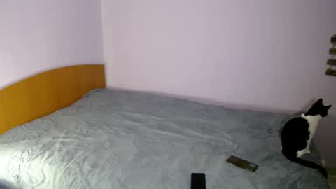 Snapshot of bellaqueen0701 chatting on 03.06.25 bellaqueen0701 online show from 03.06.25