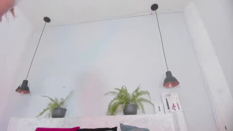 Bellota Flak online show from 11.07.25