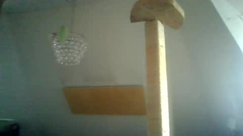 benizio online show from 01.15.25