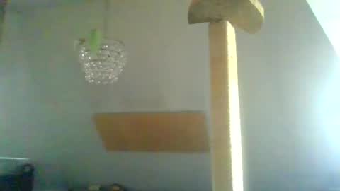 benizio online show from 01.30.25