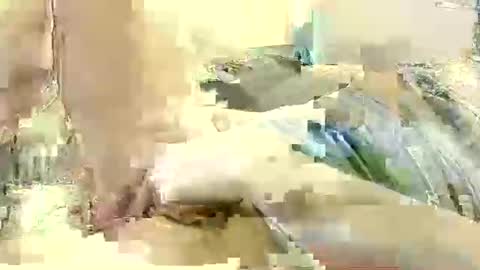 Snapshot of benutzmich0800 chatting on 12.08.24 Benutzmich0800 online show from 12.08.24