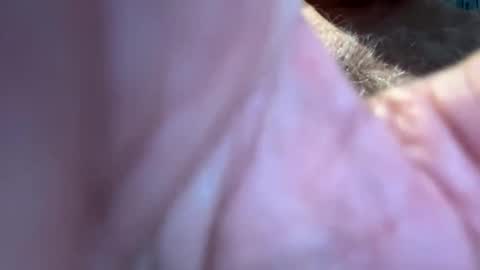 Snapshot of benz10001 chatting on 09.13.25 benz10001 online show from 09.13.25