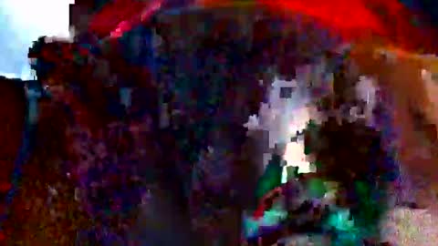 Bethany Wilson online show from 02.14.26