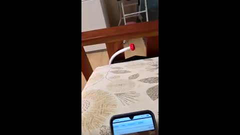 Snapshot of bf2506 chatting on 02.12.26 bf2506 online show from 02.12.26