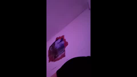 bgiamba21 online show from 02.07.26