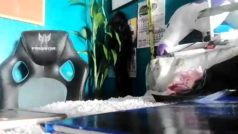 Snapshot of bheb_ji chatting on 02.15.26 bheb_ji online show from 02.15.26