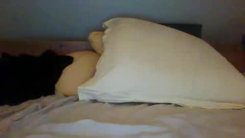 Snapshot of bibipheuck chatting on 11.13.25 bibipheuck online show from 11.13.25