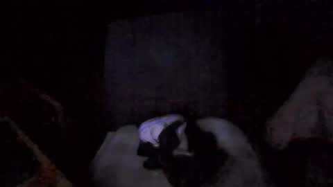 big_davis4 online show from 11.30.25