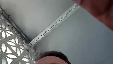 bigal9816192 online show from 11.19.25