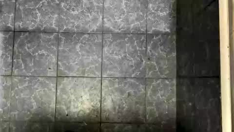 Snapshot of bigass_fag chatting on 10.05.25 bigass_fag online show from 10.05.25