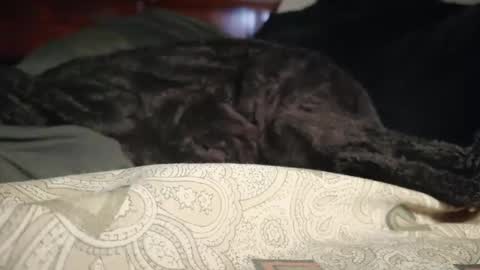 Biggest BC Energy online show from 04.01.26