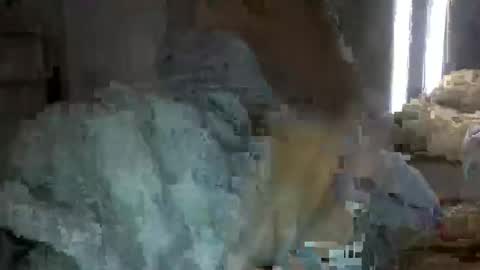 bigbootydimpless online show from 12.12.24