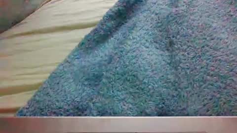 bigbootydimpless online show from 01.04.25