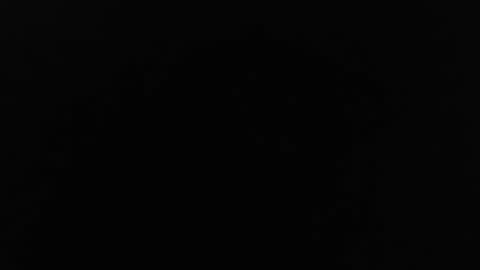 Jinn online show from 12.24.24