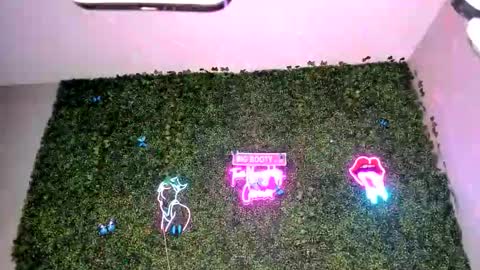 bigbuttsarena online show from 04.22.26