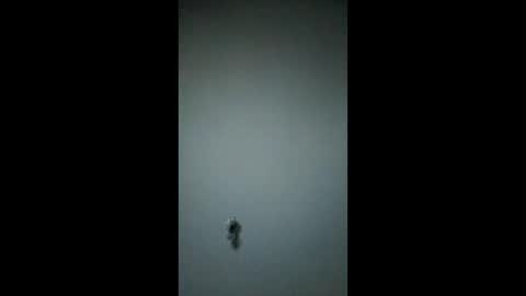 bigchorizo18 online show from 03.17.26