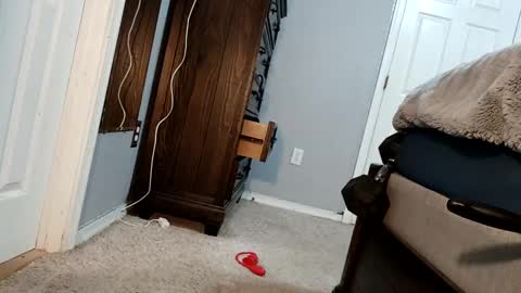 Snapshot of bigcockdaddy247 chatting on 12.17.24 bigcockdaddy247 online show from 12.17.24